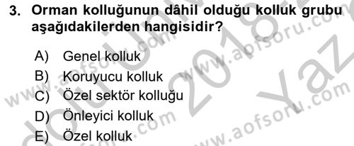 Suç Önleme Modelleri Dersi 2018 - 2019 Yılı Yaz Okulu Sınav Soruları 3. Soru