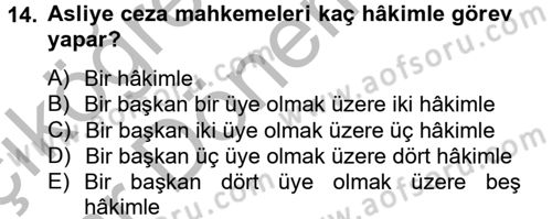 Temel Ceza Muhakemesi Hukuku Bilgisi Dersi 2012 - 2013 Yılı (Vize) Ara Sınav Soruları 14. Soru