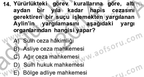 Temel Ceza Muhakemesi Hukuku Bilgisi Dersi 2014 - 2015 Yılı (Vize) Ara Sınav Soruları 14. Soru
