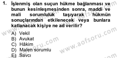 Temel Ceza Muhakemesi Hukuku Bilgisi Dersi 2014 - 2015 Yılı (Final) Dönem Sonu Sınavı 1. Soru