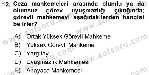 Temel Ceza Muhakemesi Hukuku Bilgisi Dersi 2017 - 2018 Yılı (Vize) Ara Sınav Soruları 12. Soru