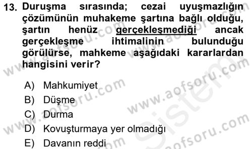 Temel Ceza Muhakemesi Hukuku Bilgisi Dersi 2017 - 2018 Yılı (Vize) Ara Sınavı 13. Soru