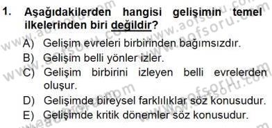 Okulöncesi Eğitime Giriş Dersi 2012 - 2013 Yılı (Final) Dönem Sonu Sınav Soruları 1. Soru