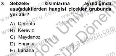 Anne Ve Çocuk Beslenmesi Dersi 2012 - 2013 Yılı (Final) Dönem Sonu Sınav Soruları 3. Soru