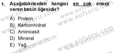 Anne Ve Çocuk Beslenmesi Dersi Ara Sınavı Deneme Sınav Soruları 1. Soru