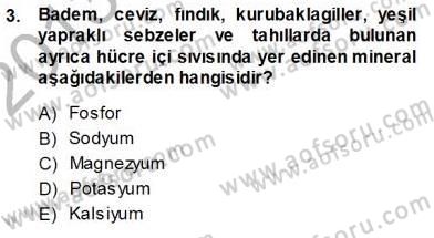Anne Ve Çocuk Beslenmesi Dersi Ara Sınavı Deneme Sınav Soruları 3. Soru