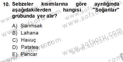 Anne Ve Çocuk Beslenmesi Dersi Ara Sınavı Deneme Sınav Soruları 10. Soru