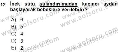 Anne Ve Çocuk Beslenmesi Dersi Ara Sınavı Deneme Sınav Soruları 12. Soru