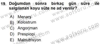 Anne Ve Çocuk Beslenmesi Dersi Ara Sınavı Deneme Sınav Soruları 19. Soru