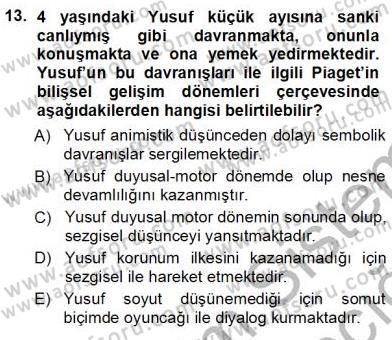 Erken Çocukluk Döneminde Gelişim 1 Dersi Ara Sınavı Deneme Sınav Soruları 13. Soru
