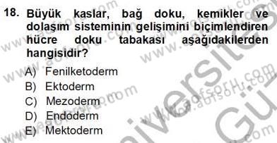 Erken Çocukluk Döneminde Gelişim 1 Dersi Ara Sınavı Deneme Sınav Soruları 18. Soru