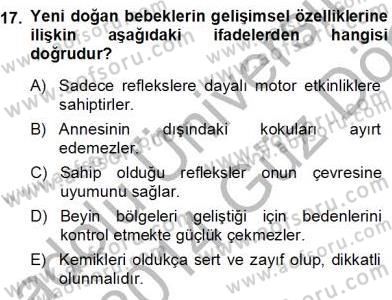 Erken Çocukluk Döneminde Gelişim 1 Dersi Ara Sınavı Deneme Sınav Soruları 17. Soru