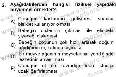 Erken Çocukluk Döneminde Gelişim 1 Dersi Ara Sınavı Deneme Sınav Soruları 2. Soru