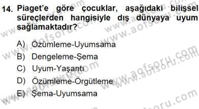 Erken Çocukluk Döneminde Gelişim 1 Dersi 2013 - 2014 Yılı (Final) Dönem Sonu Sınav Soruları 14. Soru