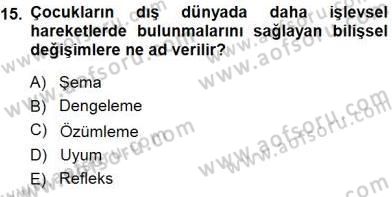 Erken Çocukluk Döneminde Gelişim 1 Dersi 2013 - 2014 Yılı (Final) Dönem Sonu Sınav Soruları 15. Soru