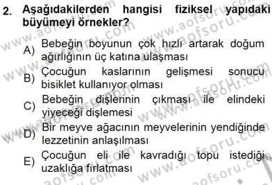 Erken Çocukluk Döneminde Gelişim 1 Dersi Ara Sınavı Deneme Sınav Soruları 2. Soru