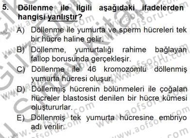Erken Çocukluk Döneminde Gelişim 1 Dersi 2014 - 2015 Yılı (Final) Dönem Sonu Sınav Soruları 5. Soru