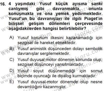 Erken Çocukluk Döneminde Gelişim 1 Dersi Ara Sınavı Deneme Sınav Soruları 16. Soru