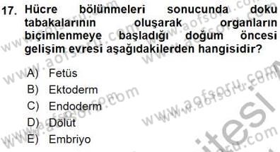 Erken Çocukluk Döneminde Gelişim 1 Dersi 2015 - 2016 Yılı (Vize) Ara Sınav Soruları 17. Soru
