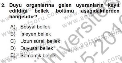 Erken Çocukluk Döneminde Gelişim 1 Dersi 2015 - 2016 Yılı (Final) Dönem Sonu Sınav Soruları 2. Soru