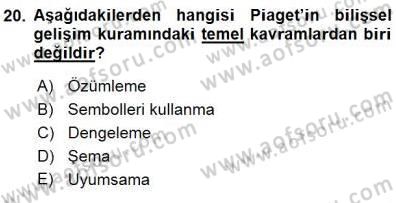 Erken Çocukluk Döneminde Gelişim 1 Dersi 2015 - 2016 Yılı (Final) Dönem Sonu Sınav Soruları 20. Soru