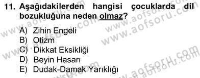 Erken Çocukluk Döneminde Gelişim 2 Dersi 2012 - 2013 Yılı (Vize) Ara Sınav Soruları 11. Soru