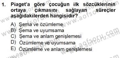 Erken Çocukluk Döneminde Gelişim 2 Dersi 2012 - 2013 Yılı (Final) Dönem Sonu Sınav Soruları 1. Soru