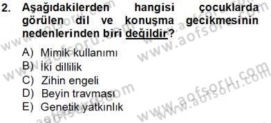 Erken Çocukluk Döneminde Gelişim 2 Dersi 2012 - 2013 Yılı (Final) Dönem Sonu Sınav Soruları 2. Soru