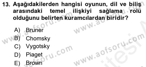 Erken Çocukluk Döneminde Gelişim 2 Dersi 2015 - 2016 Yılı (Vize) Ara Sınav Soruları 13. Soru