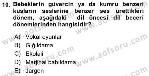 Erken Çocukluk Döneminde Gelişim 2 Dersi 2016 - 2017 Yılı (Vize) Ara Sınav Soruları 10. Soru