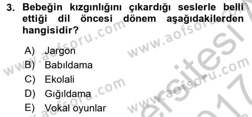 Erken Çocukluk Döneminde Gelişim 2 Dersi 2016 - 2017 Yılı (Vize) Ara Sınav Soruları 3. Soru