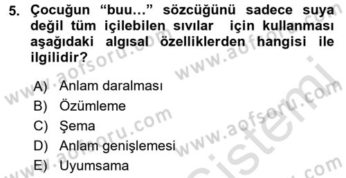 Erken Çocukluk Döneminde Gelişim 2 Dersi 2016 - 2017 Yılı (Final) Dönem Sonu Sınav Soruları 5. Soru