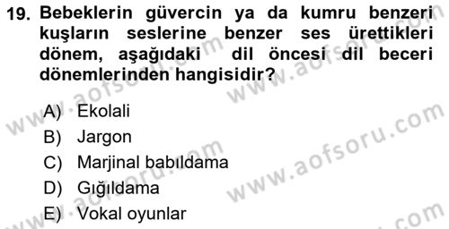 Erken Çocukluk Döneminde Gelişim 2 Dersi 2017 - 2018 Yılı (Vize) Ara Sınav Soruları 19. Soru