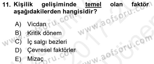 Erken Çocukluk Döneminde Gelişim 2 Dersi 2017 - 2018 Yılı (Final) Dönem Sonu Sınav Soruları 11. Soru