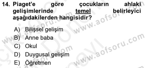 Erken Çocukluk Döneminde Gelişim 2 Dersi 2017 - 2018 Yılı (Final) Dönem Sonu Sınav Soruları 14. Soru