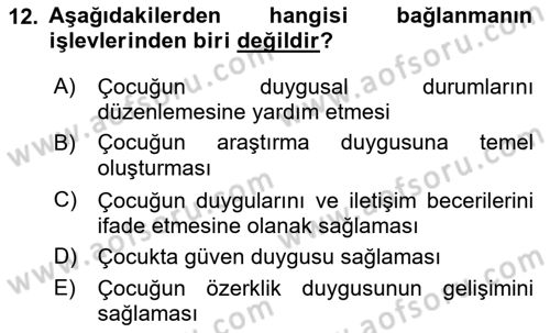 Erken Çocukluk Döneminde Gelişim 2 Dersi 2018 - 2019 Yılı (Vize) Ara Sınav Soruları 12. Soru