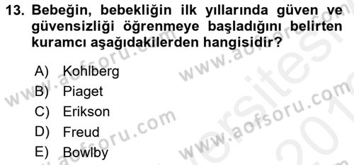 Erken Çocukluk Döneminde Gelişim 2 Dersi 2018 - 2019 Yılı (Vize) Ara Sınav Soruları 13. Soru