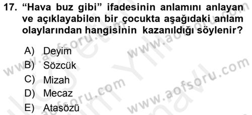 Erken Çocukluk Döneminde Gelişim 2 Dersi 2018 - 2019 Yılı (Vize) Ara Sınav Soruları 17. Soru