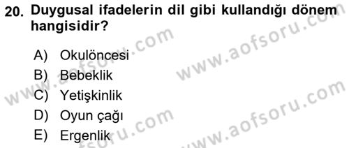 Erken Çocukluk Döneminde Gelişim 2 Dersi 2018 - 2019 Yılı (Vize) Ara Sınav Soruları 20. Soru