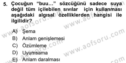 Erken Çocukluk Döneminde Gelişim 2 Dersi 2018 - 2019 Yılı (Vize) Ara Sınav Soruları 5. Soru