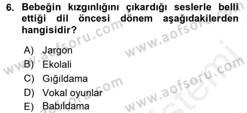 Erken Çocukluk Döneminde Gelişim 2 Dersi 2018 - 2019 Yılı (Vize) Ara Sınav Soruları 6. Soru