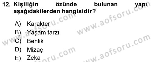 Erken Çocukluk Döneminde Gelişim 2 Dersi 2018 - 2019 Yılı Yaz Okulu Sınav Soruları 12. Soru