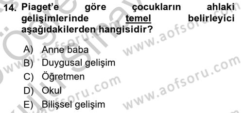 Erken Çocukluk Döneminde Gelişim 2 Dersi 2018 - 2019 Yılı Yaz Okulu Sınav Soruları 14. Soru