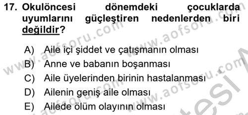 Erken Çocukluk Döneminde Gelişim 2 Dersi 2018 - 2019 Yılı Yaz Okulu Sınav Soruları 17. Soru