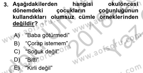 Erken Çocukluk Döneminde Gelişim 2 Dersi 2018 - 2019 Yılı Yaz Okulu Sınav Soruları 3. Soru