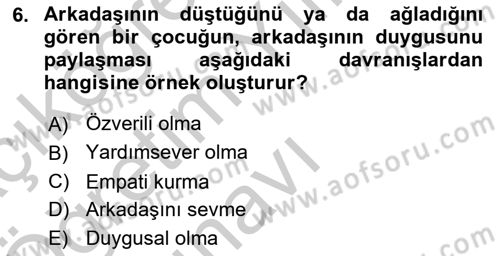 Erken Çocukluk Döneminde Gelişim 2 Dersi 2018 - 2019 Yılı Yaz Okulu Sınav Soruları 6. Soru