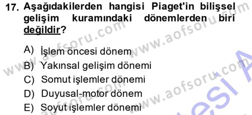 Okulöncesinde Matematik Eğitimi Dersi Ara Sınavı Deneme Sınav Soruları 17. Soru