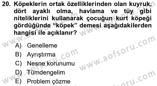 Okulöncesinde Matematik Eğitimi Dersi Ara Sınavı Deneme Sınav Soruları 20. Soru