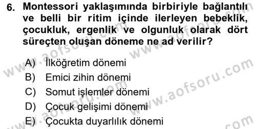 Okulöncesinde Matematik Eğitimi Dersi 2016 - 2017 Yılı (Final) Dönem Sonu Sınav Soruları 6. Soru