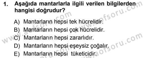 Okulöncesinde Fen Eğitimi Dersi Ara Sınavı Deneme Sınav Soruları 1. Soru